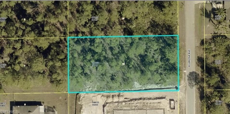1011 Plumosa AVE LEHIGH ACRES, FL 33972