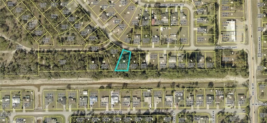 2192 Wyandotte AVE ALVA, FL 33920