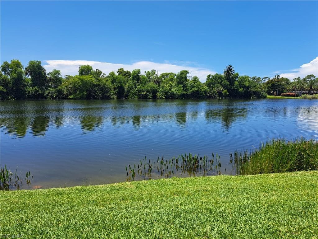 11271 Tamarind Cay LN 1603 FORT MYERS, FL 33908