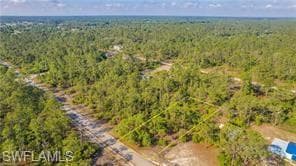 2109 Irving AVE ALVA, FL 33920