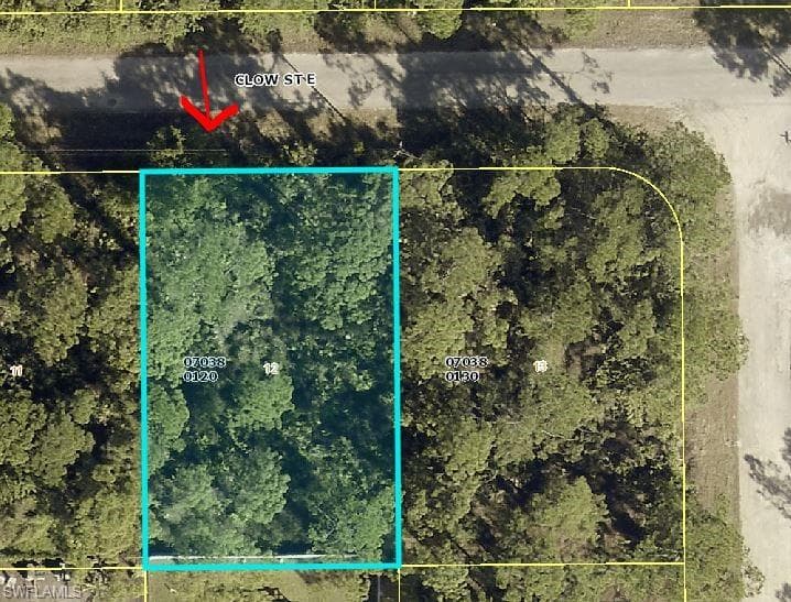 842 Clow ST E LEHIGH ACRES, FL 33974