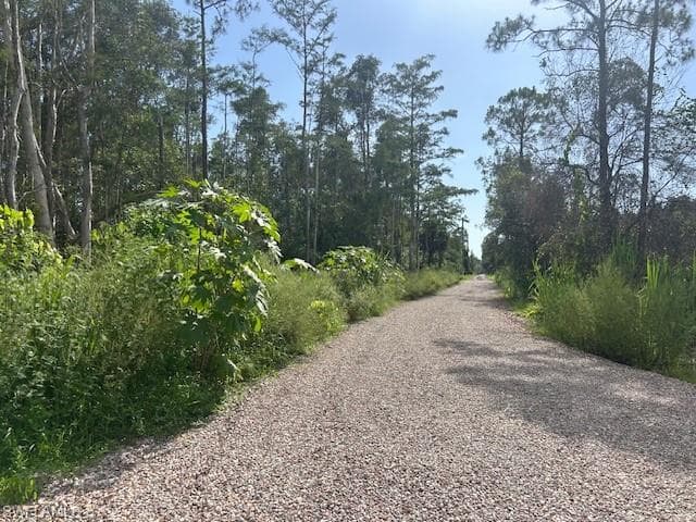 1 RIO GRANDE DR BONITA SPRINGS, FL 34135