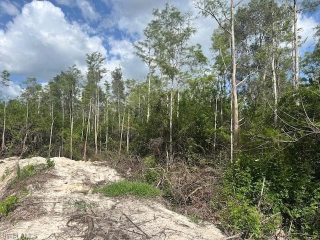 2 RIO GRANDE DR BONITA SPRINGS, FL 34135