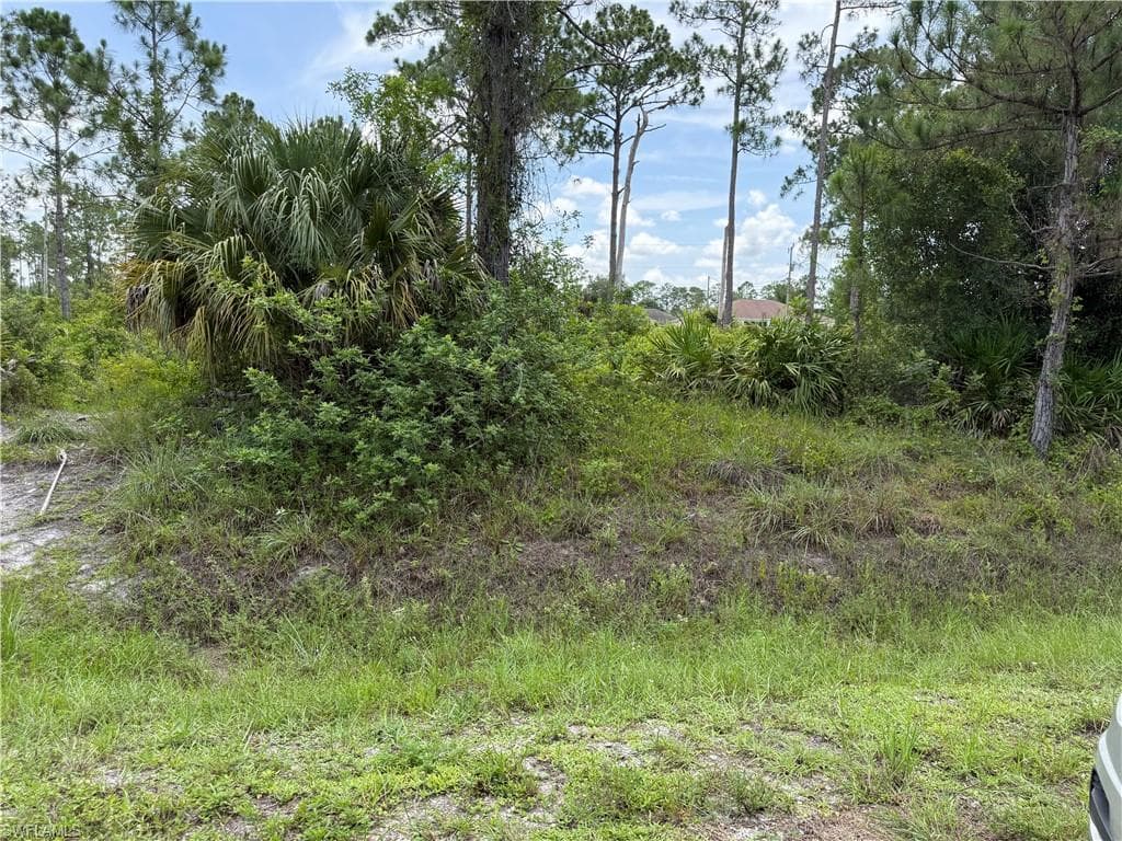 316 Canton AVE LEHIGH ACRES, FL 33936