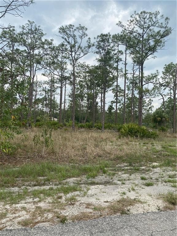 7700 Wheeler RD LABELLE, FL 33935