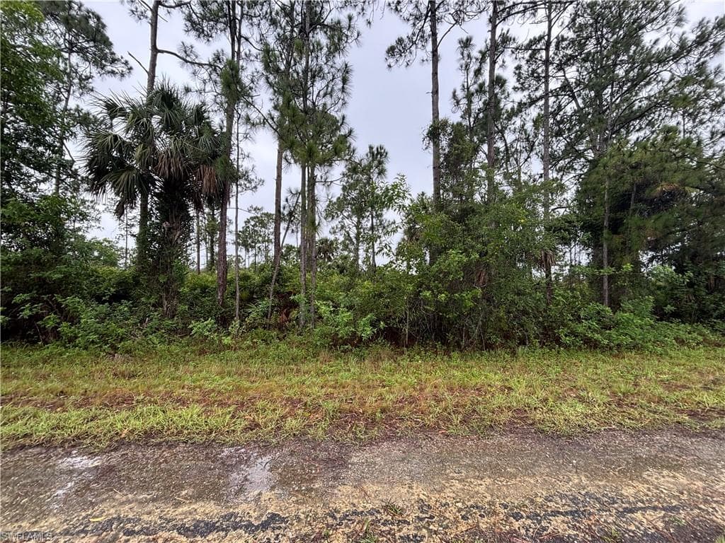 1602 Loraine AVE S LEHIGH ACRES, FL 33976