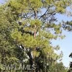12th AVE SE NAPLES, FL 34117