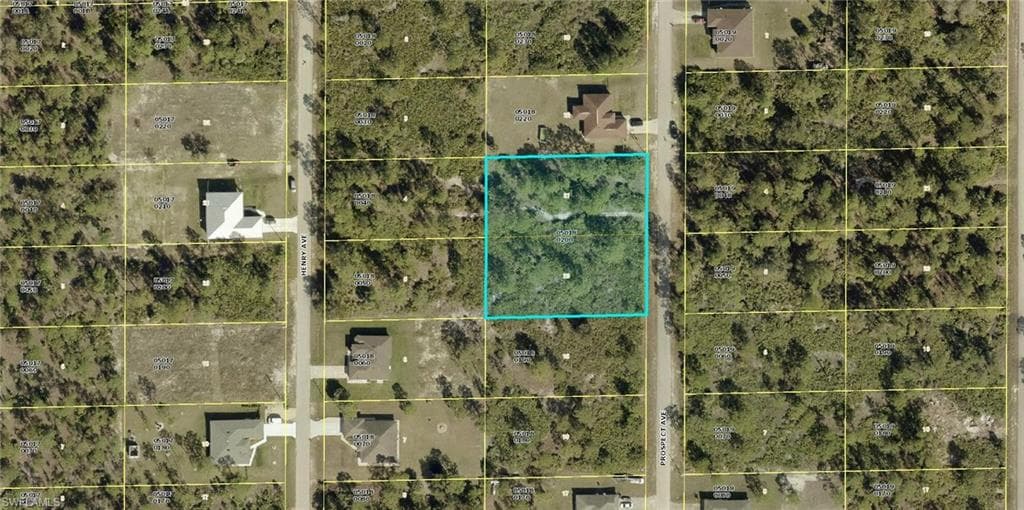 1315 Prospect AVE LEHIGH ACRES, FL 33972