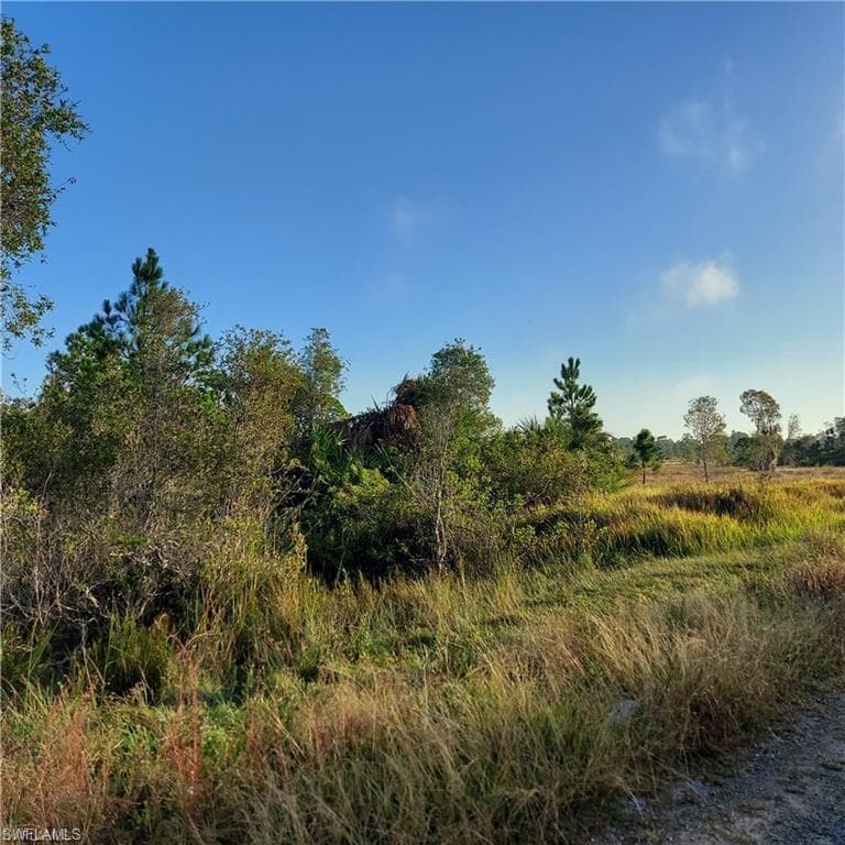 917 Clarissa ST LEHIGH ACRES, FL 33974