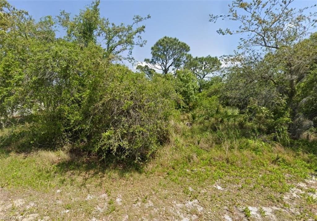 249 Grape RD NW LAKE PLACID, FL 33852