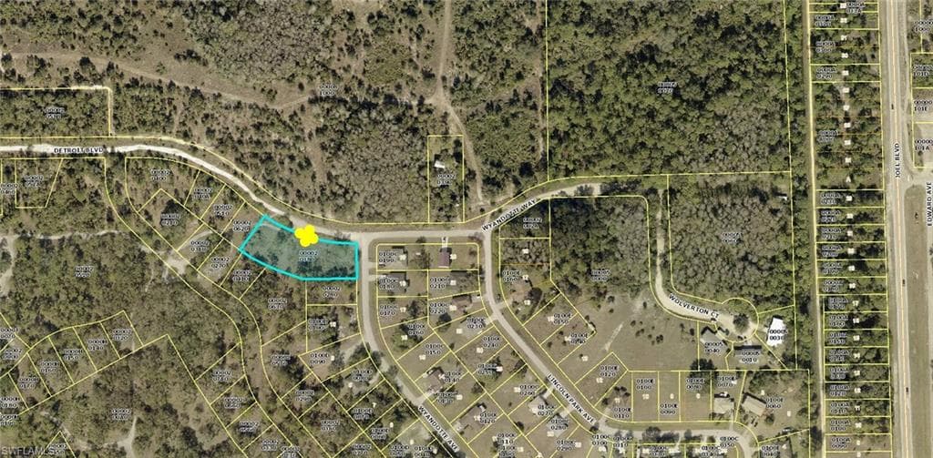 2138 Wyandotte AVE ALVA, FL 33920