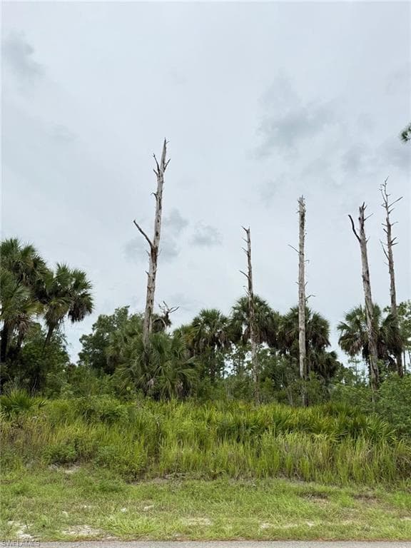 2905 Hanna AVE N LEHIGH ACRES, FL 33971