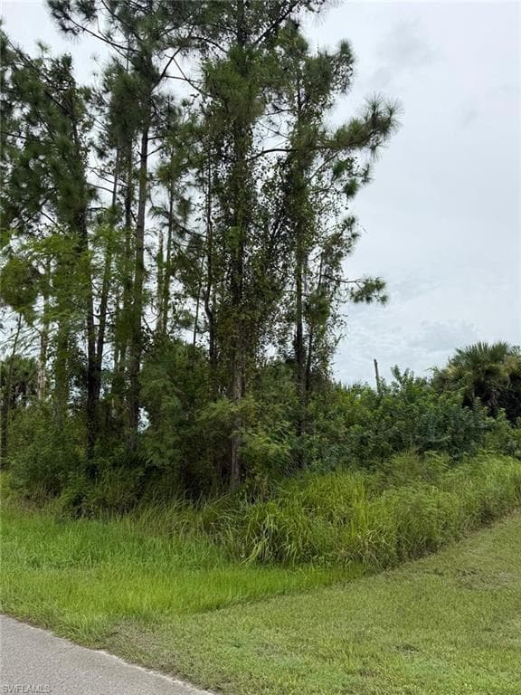 2903 Hanna AVE N LEHIGH ACRES, FL 33971