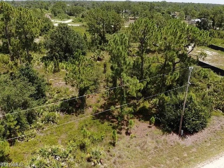 1155 Bayliss ST E LEHIGH ACRES, FL 33974