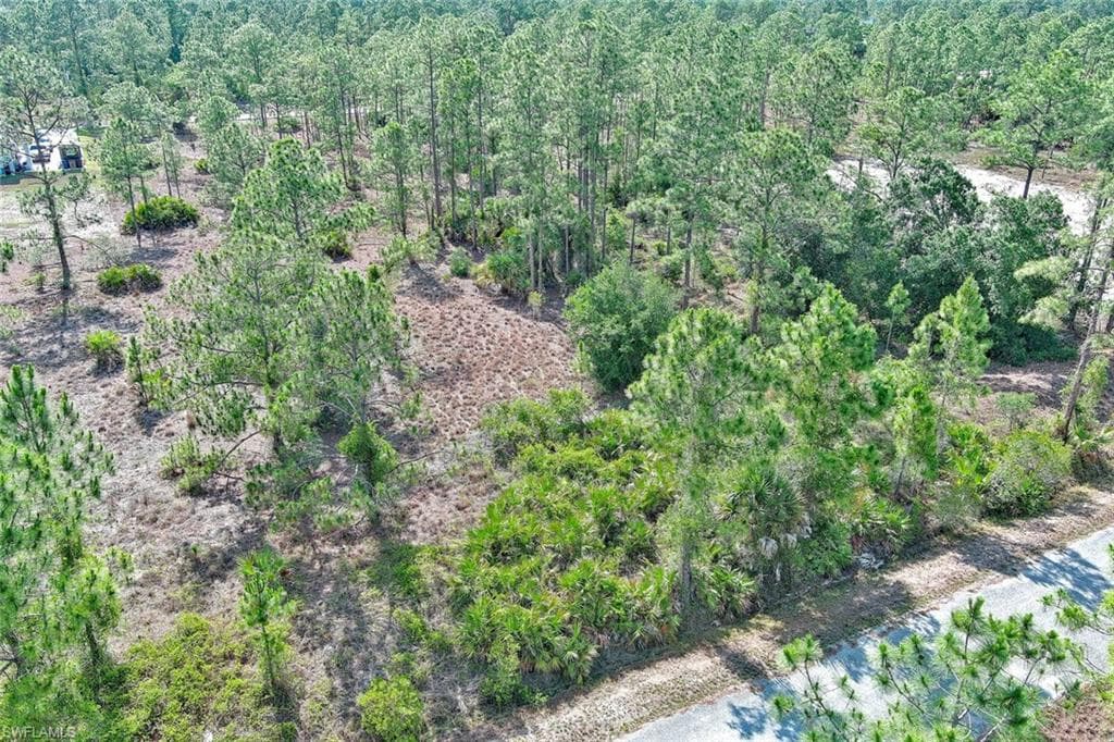 317 Fitch AVE LEHIGH ACRES, FL 33936