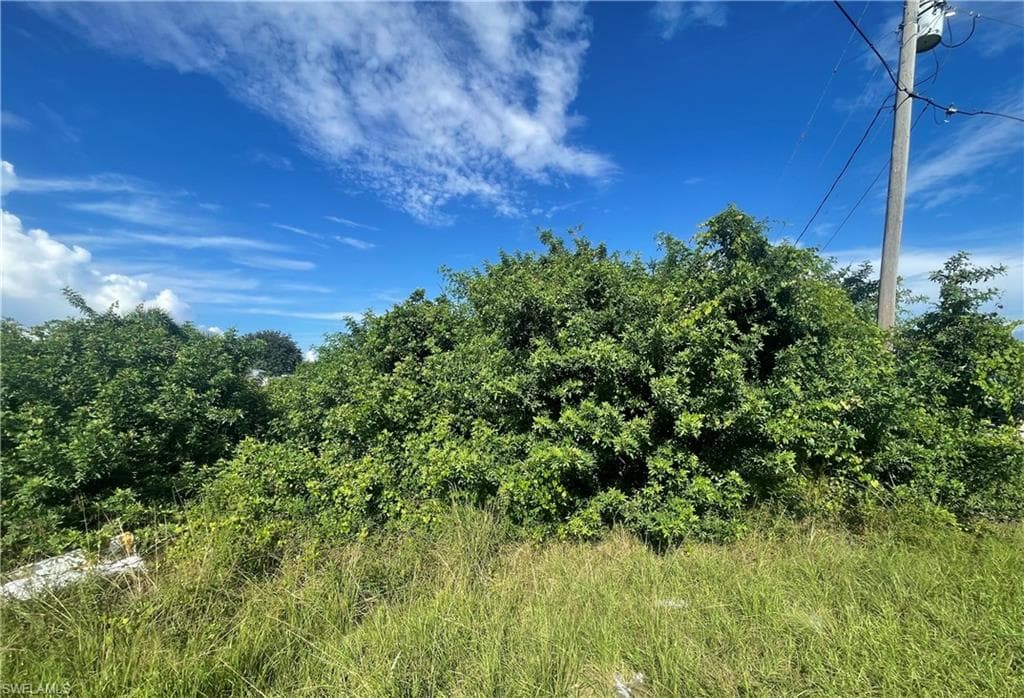 1001 Chadbourne AVE LEHIGH ACRES, FL 33971
