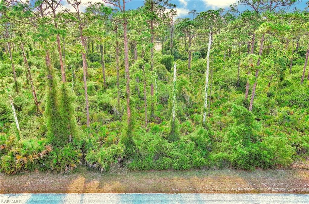 2019 Columbus AVE ALVA, FL 33920