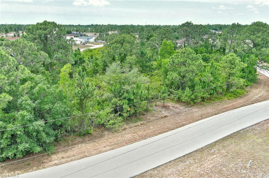 1104 Naples AVE S LEHIGH ACRES, FL 33974