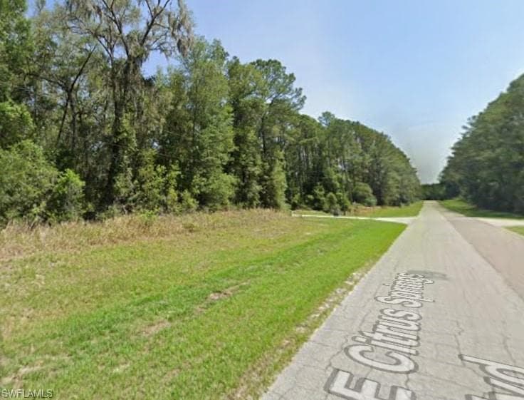 8698 ALAMEDA DR CITRUS SPRINGS, FL 34434