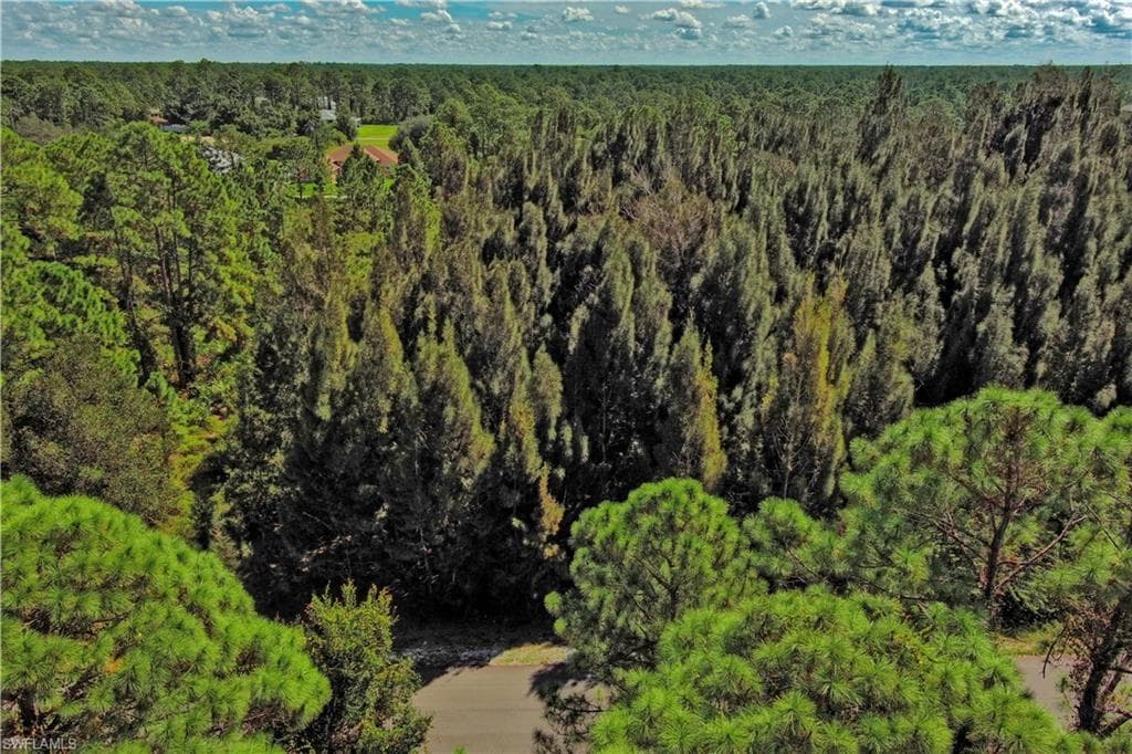1412 Pine AVE LEHIGH ACRES, FL 33972