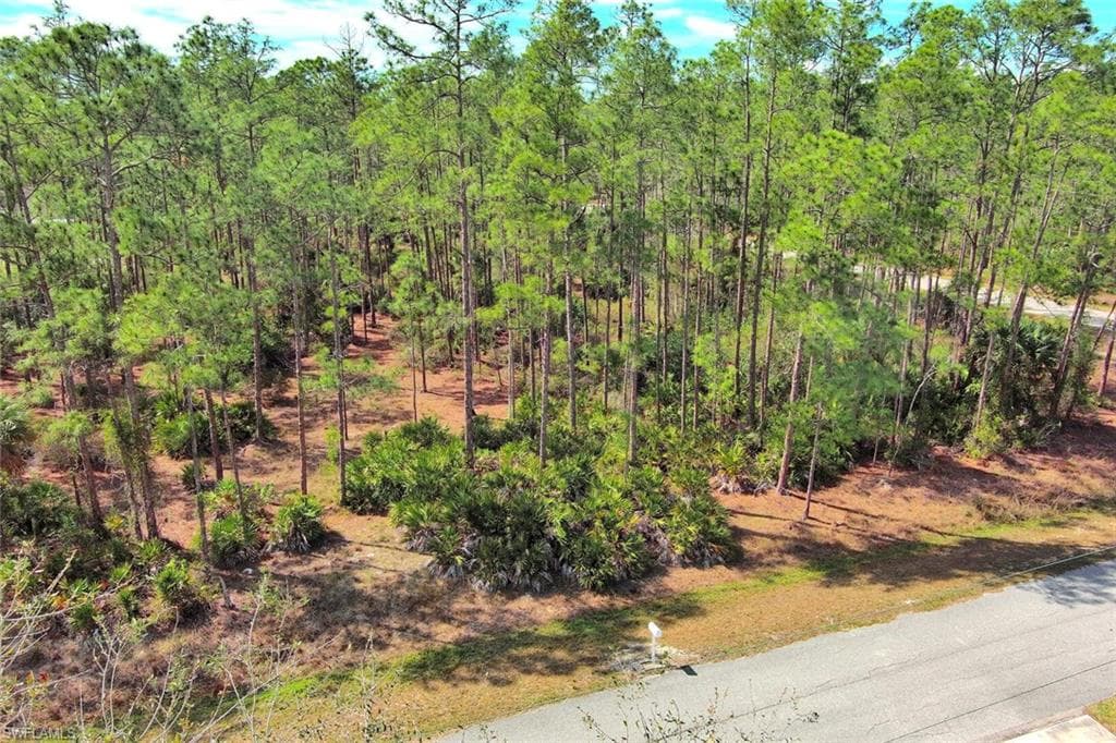 2221 Canton AVE ALVA, FL 33920