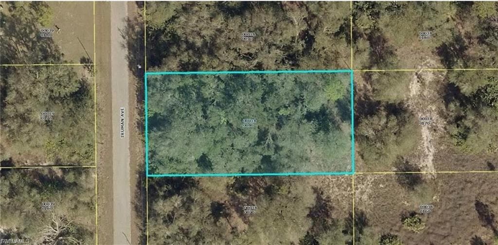 1908 Truman AVE LEHIGH ACRES, FL 33972