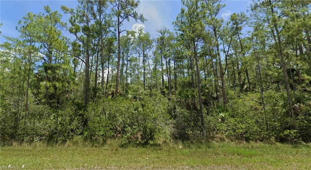 186 Greenbriar BLVD LEHIGH ACRES, FL 33972