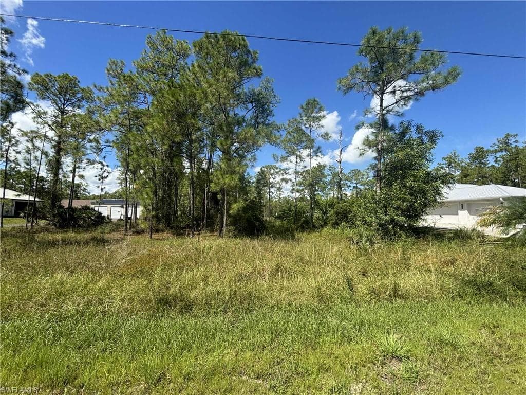 2207 Truman AVE ALVA, FL 33920