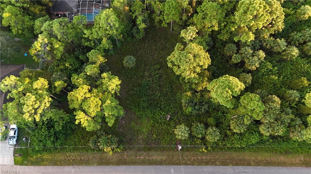 1244 Creary ST E LEHIGH ACRES, FL 33974