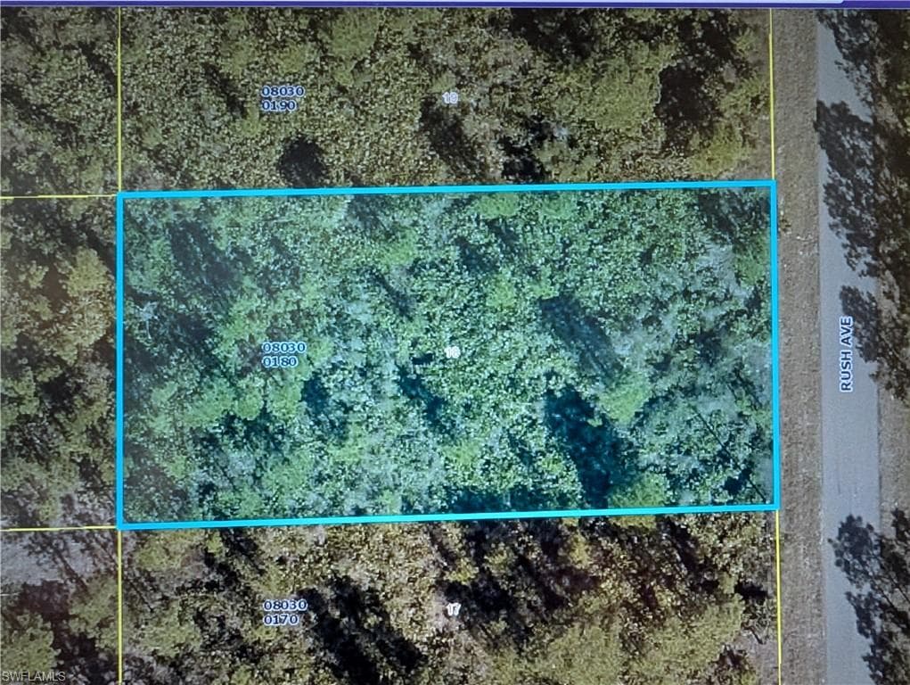 1411 Rush AVE LEHIGH ACRES, FL 33972