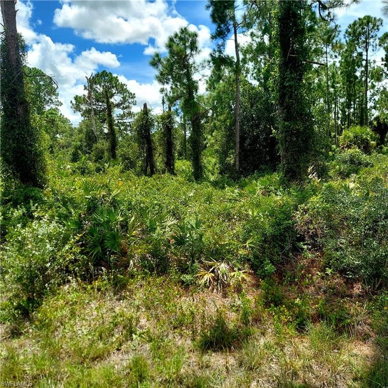 928 Binkley ST E LEHIGH ACRES, FL 33974