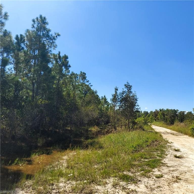 2087 West Dearborn CIR ALVA, FL 33920