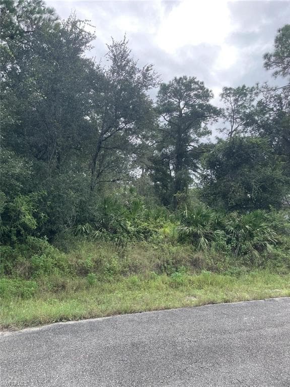1918 Roosevelt AVE LEHIGH ACRES, FL 33972