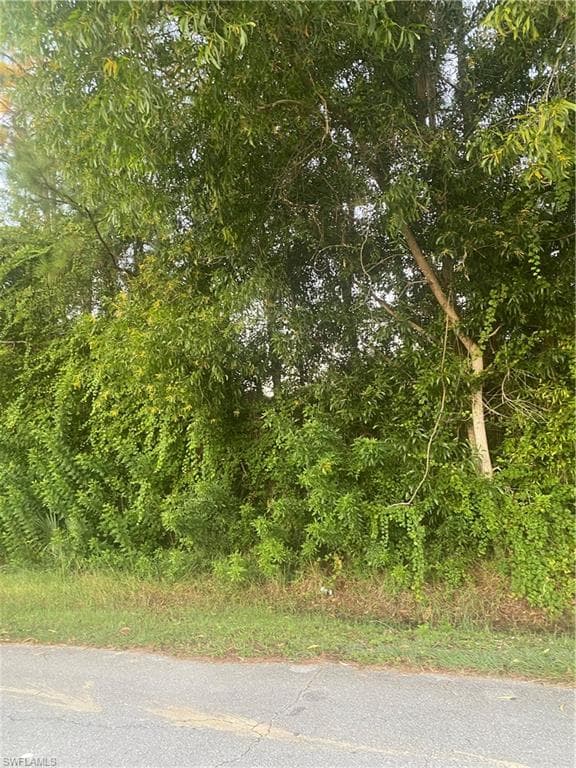 2508 Meadow RD LEHIGH ACRES, FL 33974