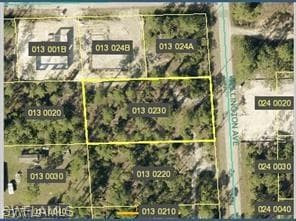 2121 Wellington AVE ALVA, FL 33920