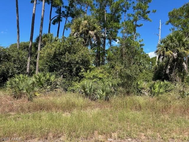 675 Nassau CIR LABELLE, FL 33935