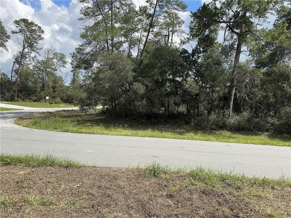 XXX 167th LOOP OCALA, FL 34473