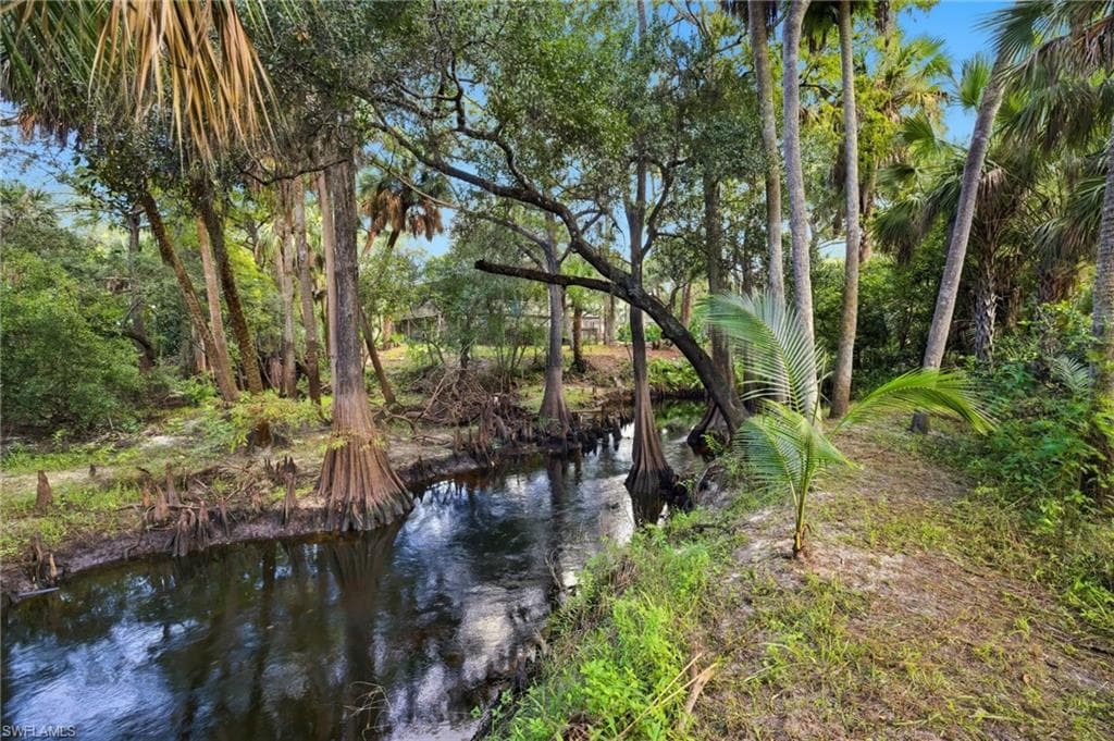 12025 Carpenter LN BONITA SPRINGS, FL 34135