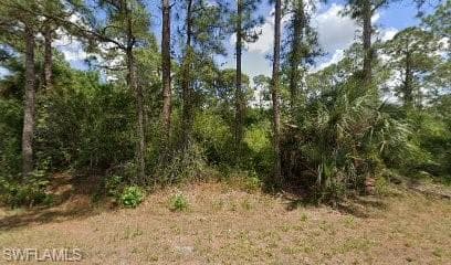 1308 Canton AVE LEHIGH ACRES, FL 33972