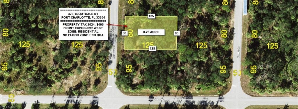 378 Troutdale ST PORT CHARLOTTE, FL 33954
