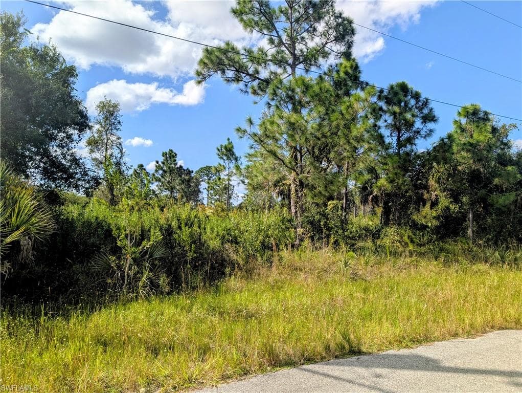 6011 Terry AVE N LEHIGH ACRES, FL 33971