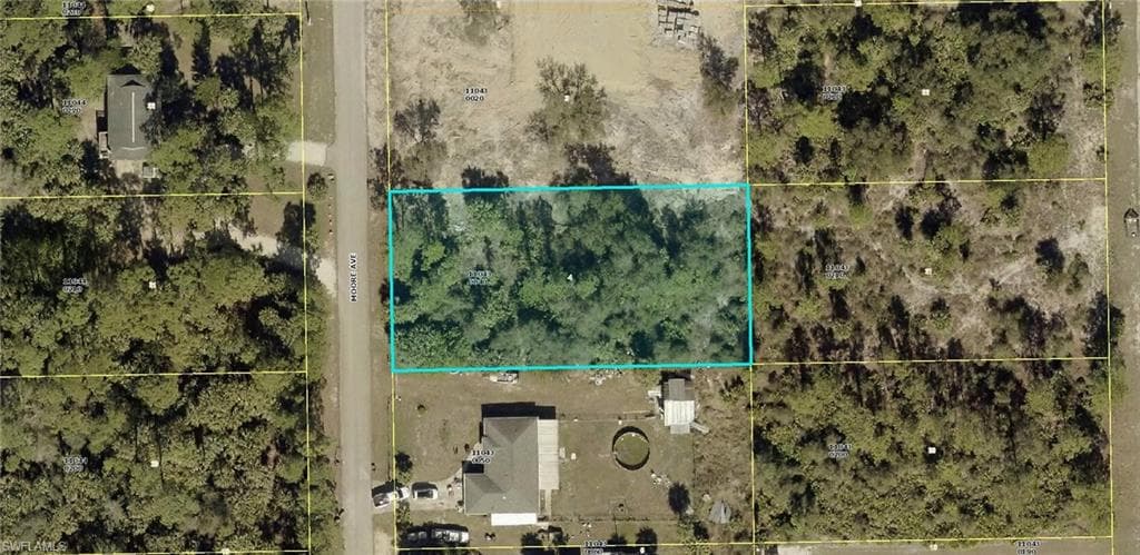 2316 Moore AVE ALVA, FL 33920