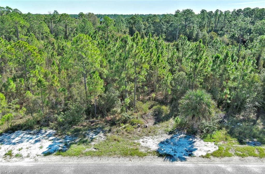 1221 Wellington AVE LEHIGH ACRES, FL 33972
