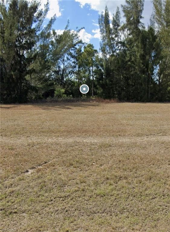 3822 NE 23rd AVE CAPE CORAL, FL 33909