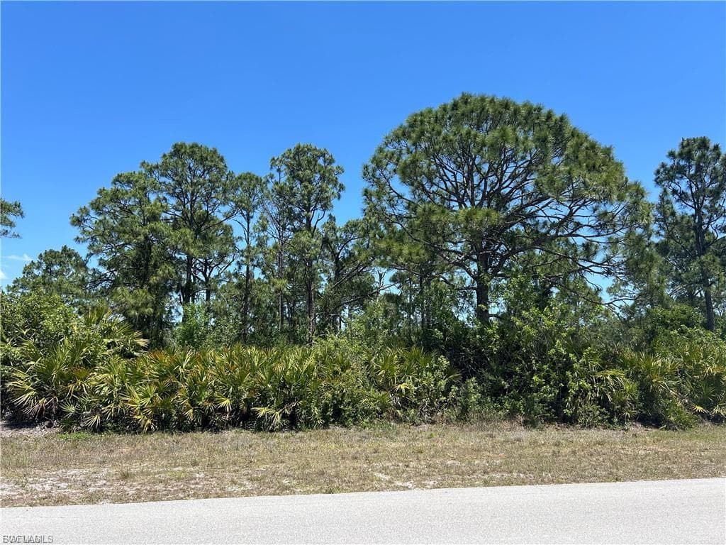 1135 Jaguar BLVD LEHIGH ACRES, FL 33974