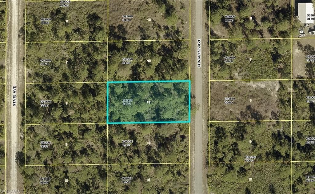 1209 Congress AVE LEHIGH ACRES, FL 33972