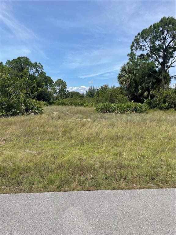 317 Pearson ST LEHIGH ACRES, FL 33974