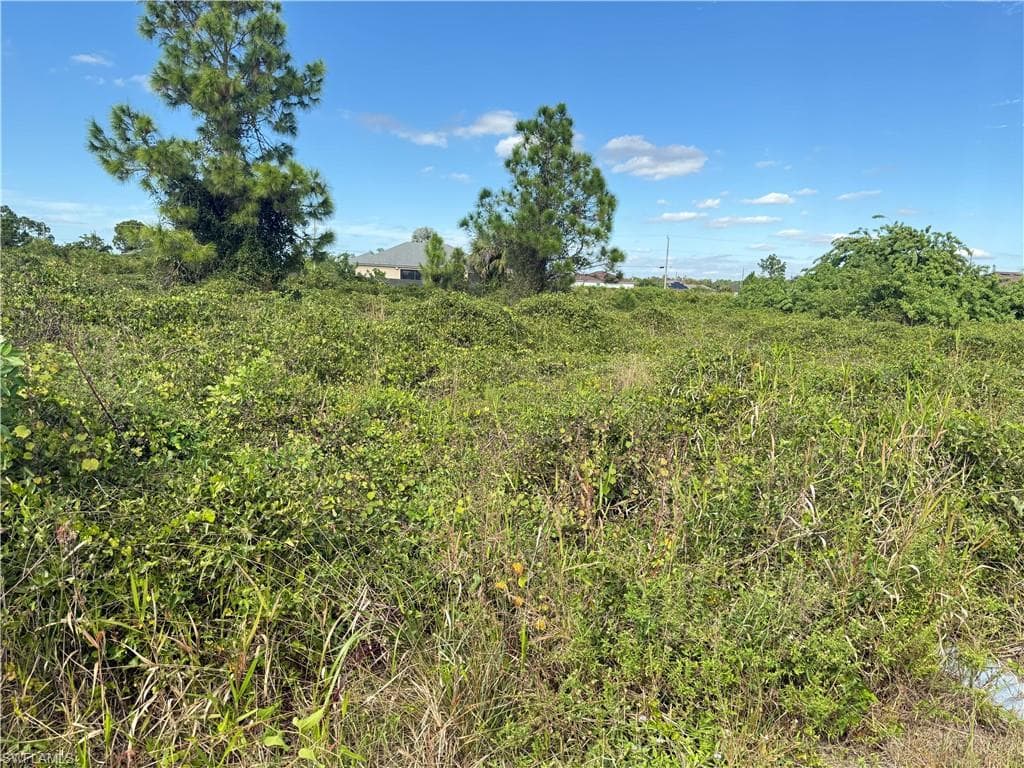 521 Trinity ST E LEHIGH ACRES, FL 33974