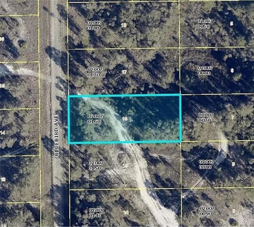 721 Bluebird AVE LEHIGH ACRES, FL 33974