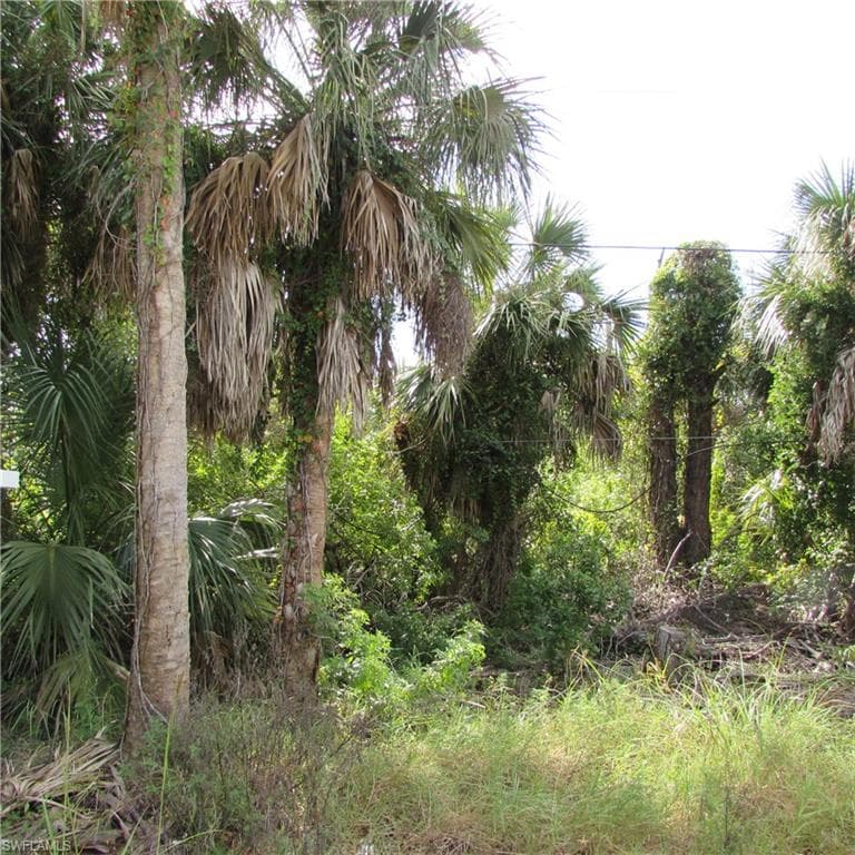 3401 Castile RD ST. JAMES CITY, FL 33956